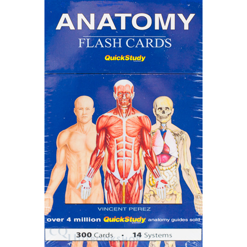 QuickStudy Flash Cards ( Anatomy )