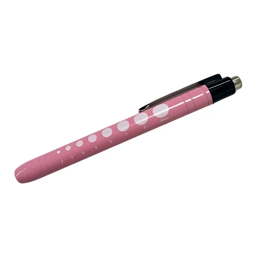 Pocket Torch Pink ( Economy - includes batteries )