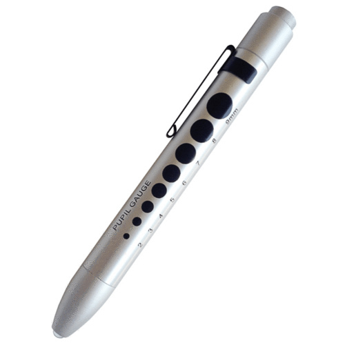 Penlight LED ( Silver - Prestige - Soft LED )