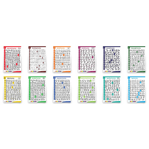Exercise Posters ( Pack of 12 )