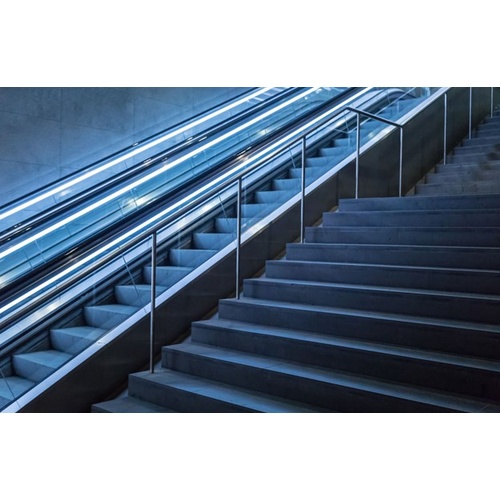 STEPS Material - See Moodle site for instructions