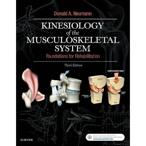 Kinesiology of the Musculoskeletal System: Foundations for Rehabilitation