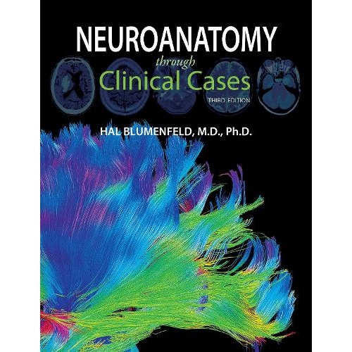 Neuroanatomy through Clinical Cases