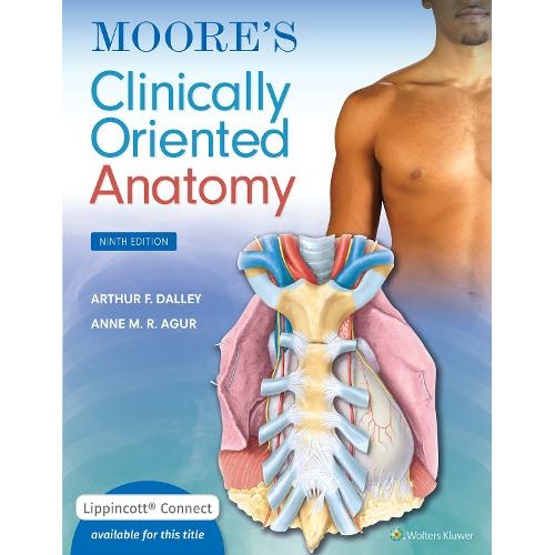 Moore's Clinically Oriented Anatomy